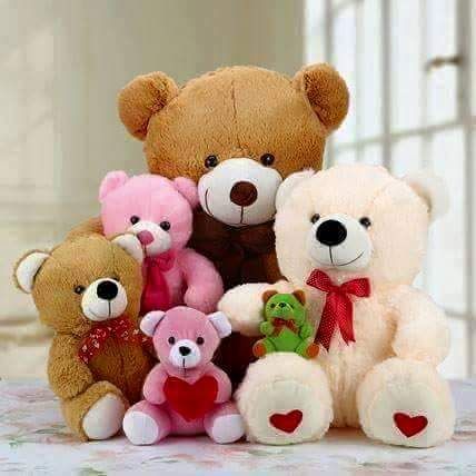 Teddy Bear