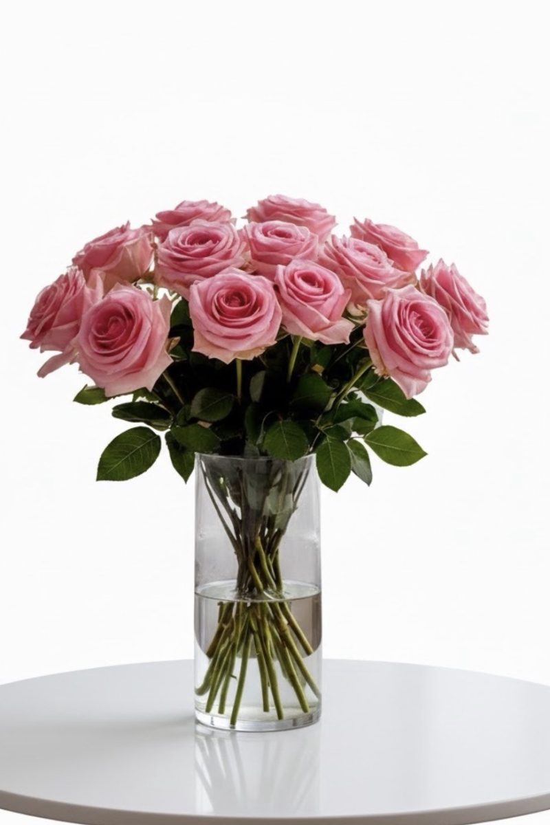 Rose in a Vase