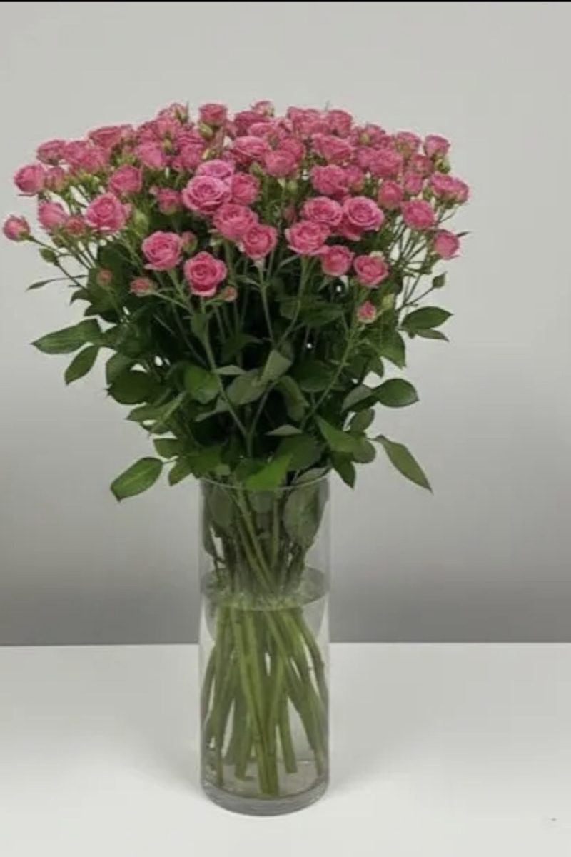 Vase With 10 Piece Fuchia Baby Rose