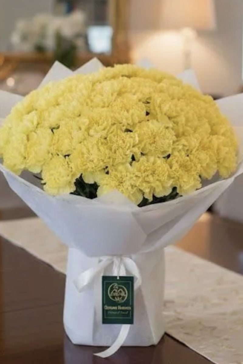Comfort Bloom