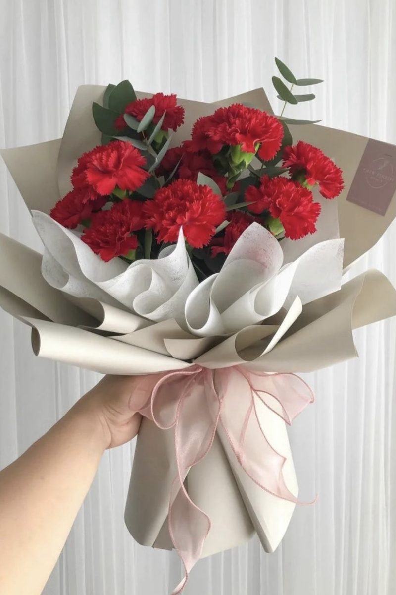 The Red Carnation
