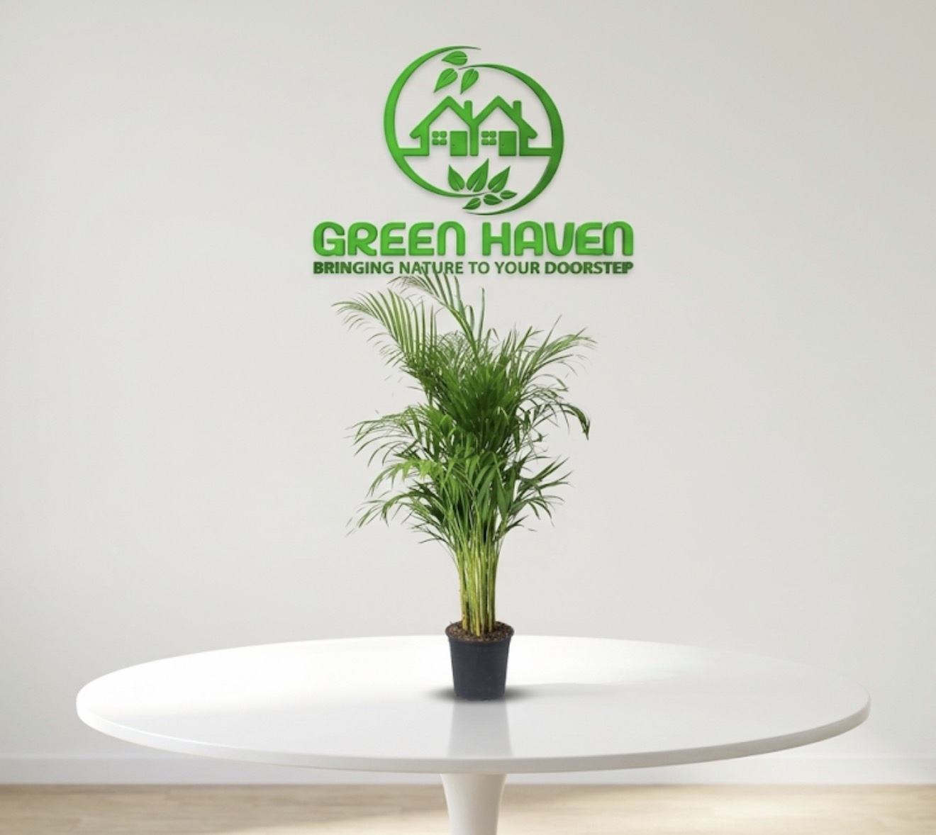 Areca Palm (Small)