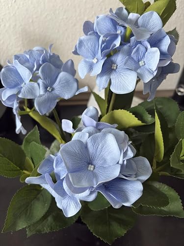 Hydrangeas - Image 2